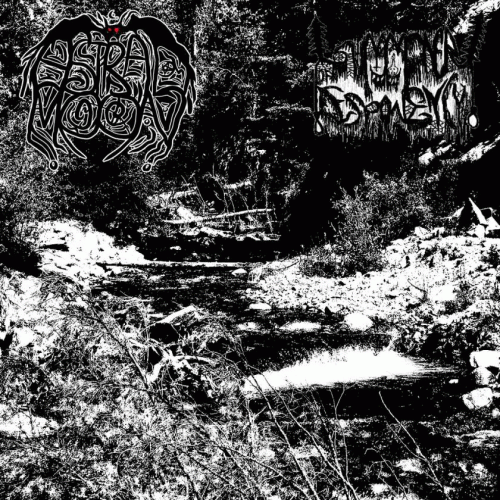 Astral Moon : Trespassers of the Mortal Plane Strange Old Tales